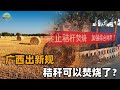 广西出台新规：放宽秸秆焚烧，一地一策，是否可能推广到全国？