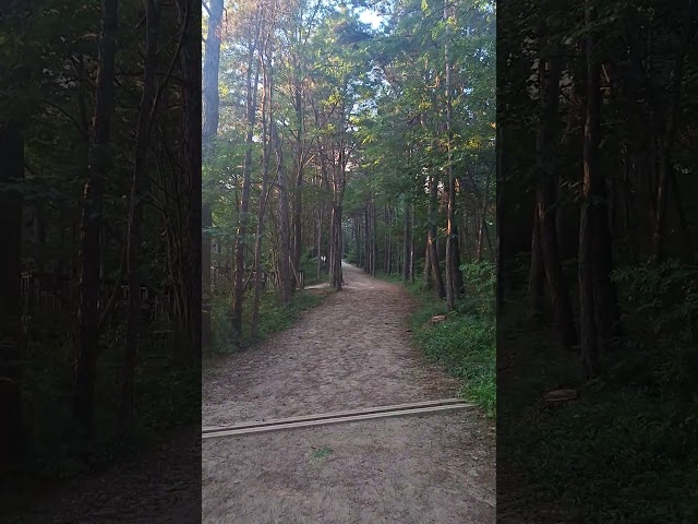 Suncheon Wetland Park, Korea  #UNESCO Heritage Sites