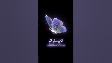 صباح الخير💜حالات واتس اب مقاطع قصيره💜قران كريم الذين آمنوا وتطمئن قلوبهم💜عبد الرحمن مسعد💜بدون حقوق