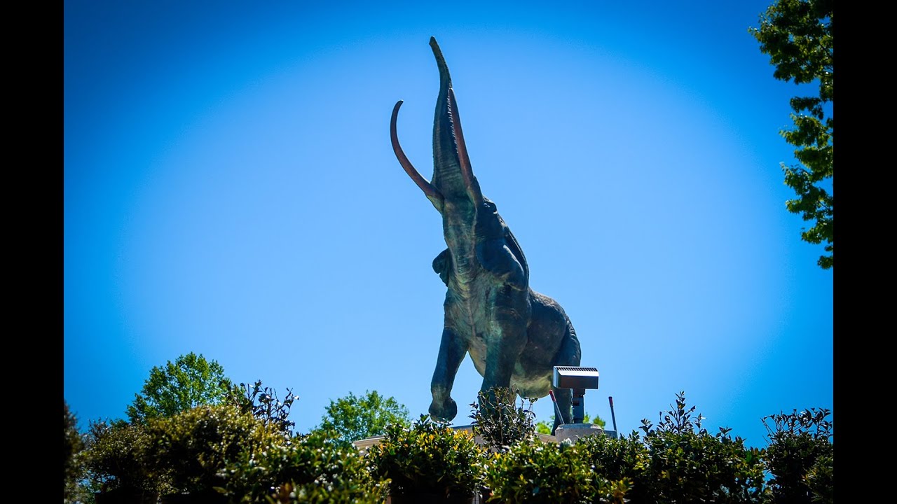 Elephant Statue Moved to Alabama Campus YouTube