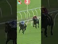 BIRDMAN CHASES DOWN PRIDE OF JENNI IN THE G1 DOOMBEN CUP 🦅🦅🦅