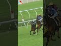 BIRDMAN CHASES DOWN PRIDE OF JENNI IN THE G1 DOOMBEN CUP 🦅🦅🦅