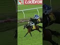 BIRDMAN CHASES DOWN PRIDE OF JENNI IN THE G1 DOOMBEN CUP 🦅🦅🦅