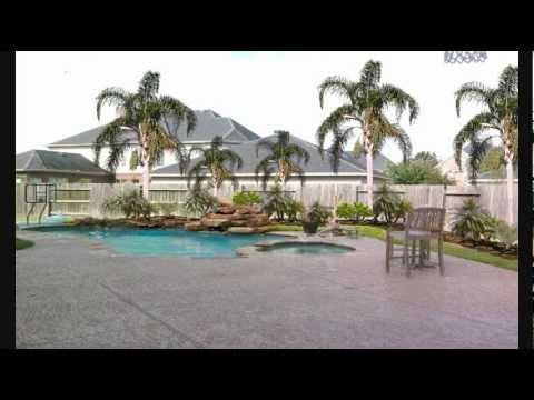 Palm Trees for Houston Swimming Pools - Landscaping - YouTube