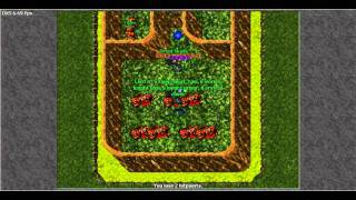 Spider Server Magic Potion Quest