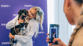 The Pawfect Pampering Retreat for dogs and their owners | Yappy.com