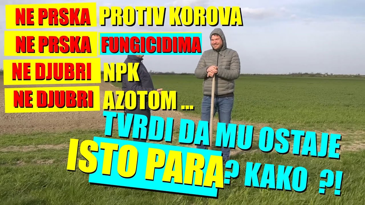 ŠOK - RATARSKA proizvodnja BEZ prskanja -bez djubrenja - MINIMALNA obrada zemlje - DA LI JE MOŽE ?
