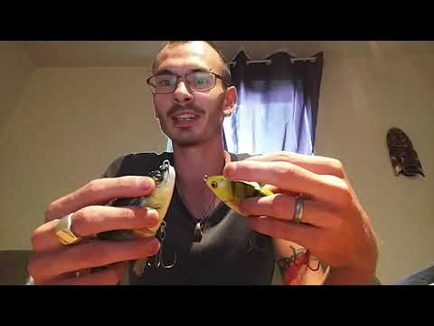 Présentation De Jimmy Petit Pêcheur Chaîne Dédier A La Peche Du Carnassier Brochet Sandre Achigan