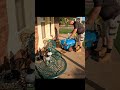 September Week 3 Lawnporn Program