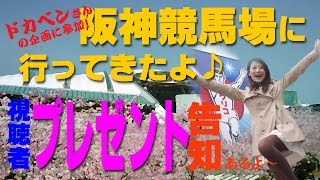 【2016 桜花賞 視聴者様プレゼント企画もあるよ】阪神競馬で産経大阪杯を楽しむ！