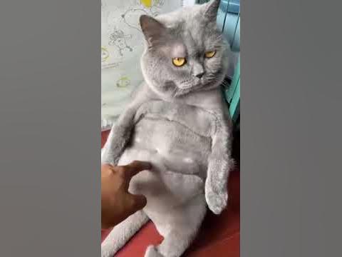 мамина любов - YouTube