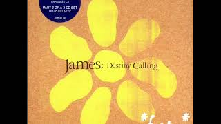 Download Lagu James - Destiny Calling MP3 Download Lagu James - Destiny Calling MP3