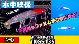 【水中映像】ガウス加速器の威力で泳ぎ出しヨシ？TKGS135！【タックルハウス】【K-TEN】