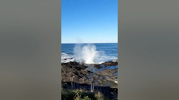 Oregon Coast/ Cape Perpetua