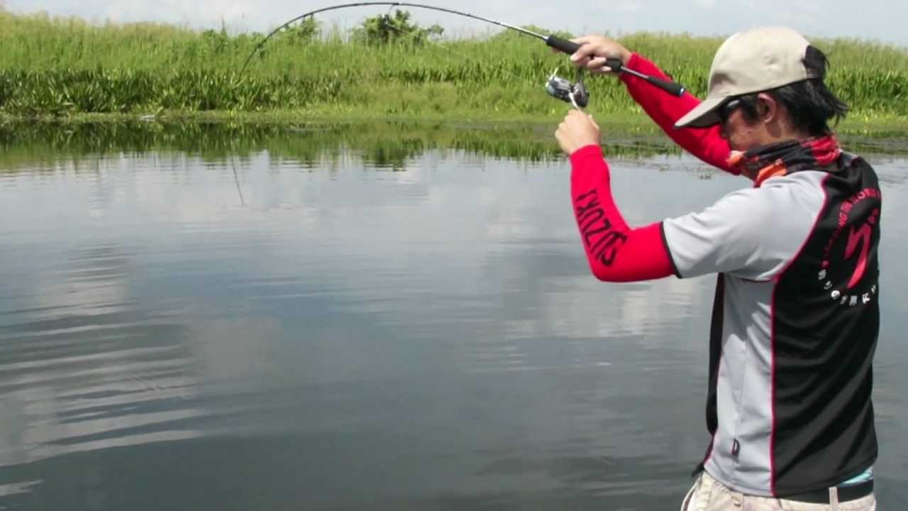 Presentation Ofmer Lure Tron