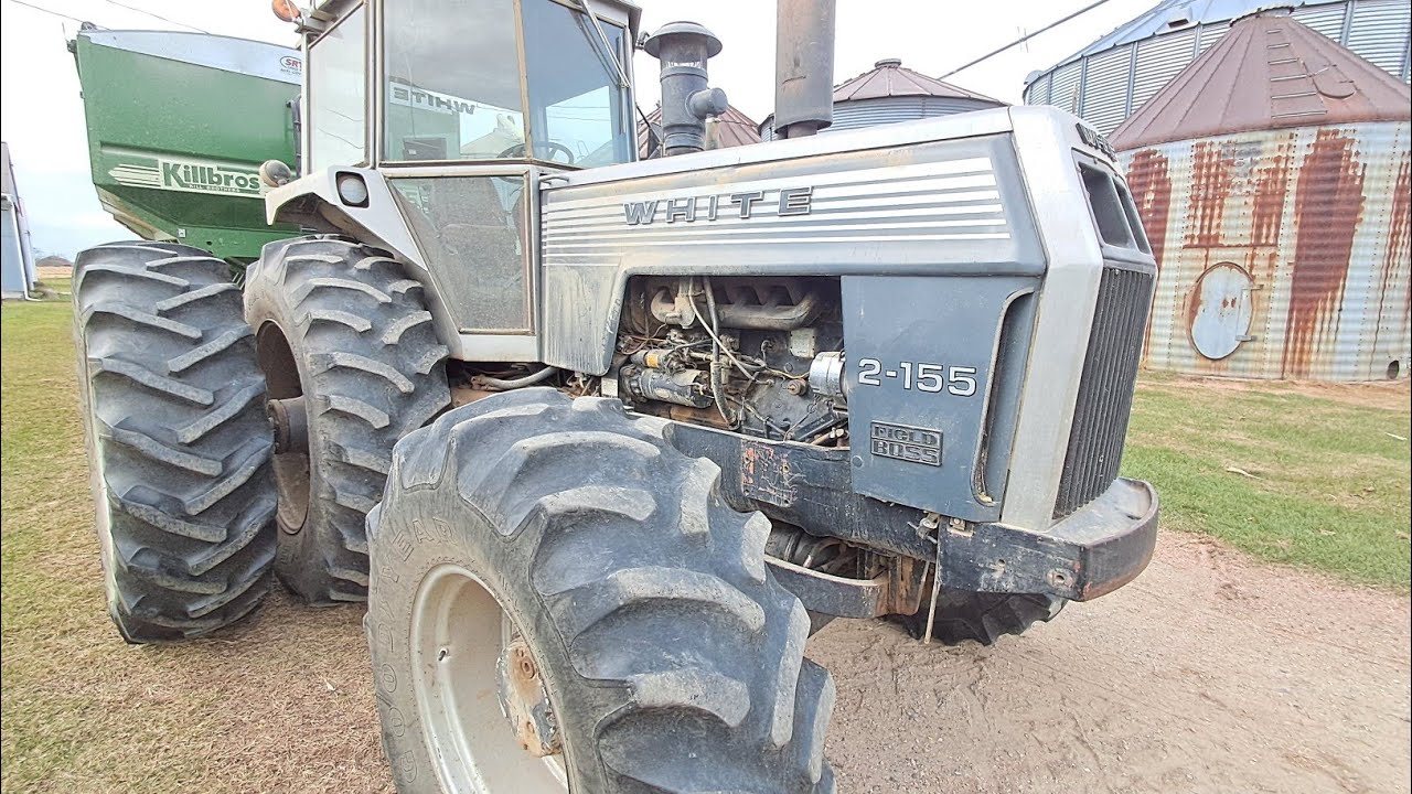 Огонь в яме! Сушка кукурузы