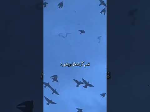 نفسم گرفت از این شهر در این حصار بشکن رمان صوتی عاشقانه کلیپ رمان عاشقانه صوتی ایرانی