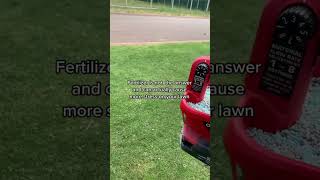 Rescue Your Lawn: Fixing Heat-Stressed Grass with Wetting Agent Magic!