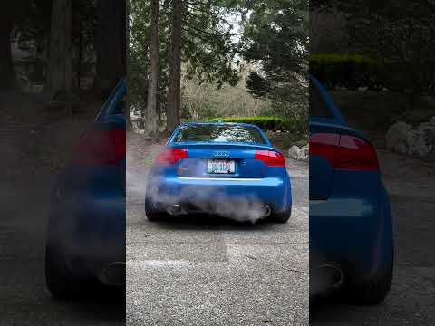 BEAUTIFUL AUDI RS4 INSANE EXHAUST SOUND | Racing Motorsport Lover #audi #audirs4 #audirs4avant