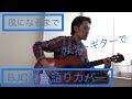 「風になるまで」BLANKEY JET CITY【弾き語りカバー】