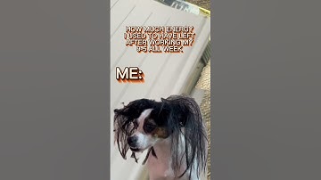 Anyone else on the 9-5 struggle bus? #inspector #funny #internetculture #businessowner