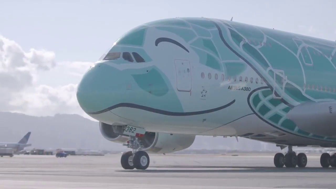 世界一可愛い飛行機 Ana Flying Honu ２号機 Anaのツイッターの動画とalex Hの音楽を合体 Youtube