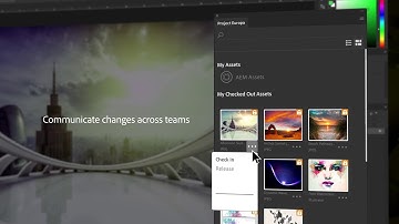 Adobe Asset Link for Government