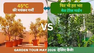 45°C की गर्मी में भी हरा-भरा रहा मेरा टेरेस गार्डन | Summer Garden Tour & Plant Update May 2026