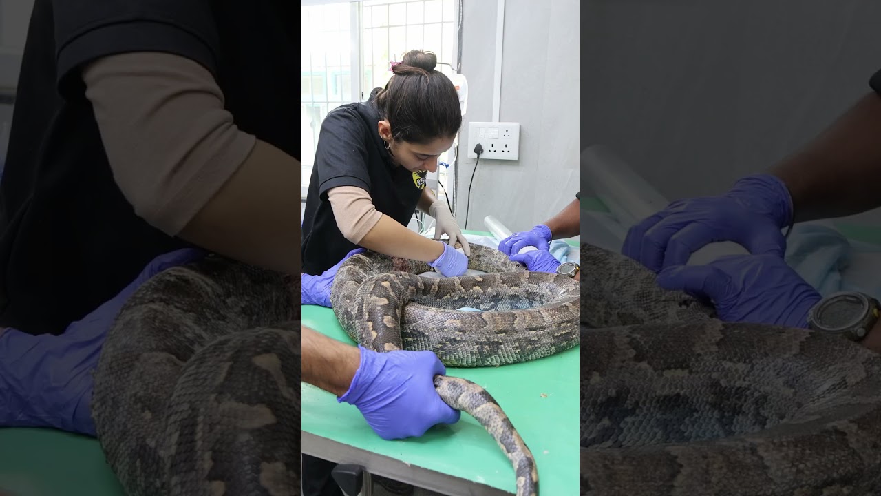 New Year of Hope and Healing  