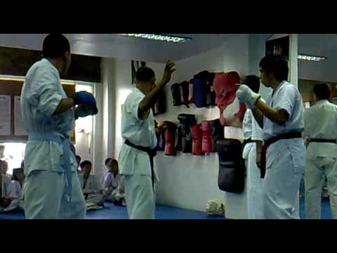 Kyokushin-kan Belting