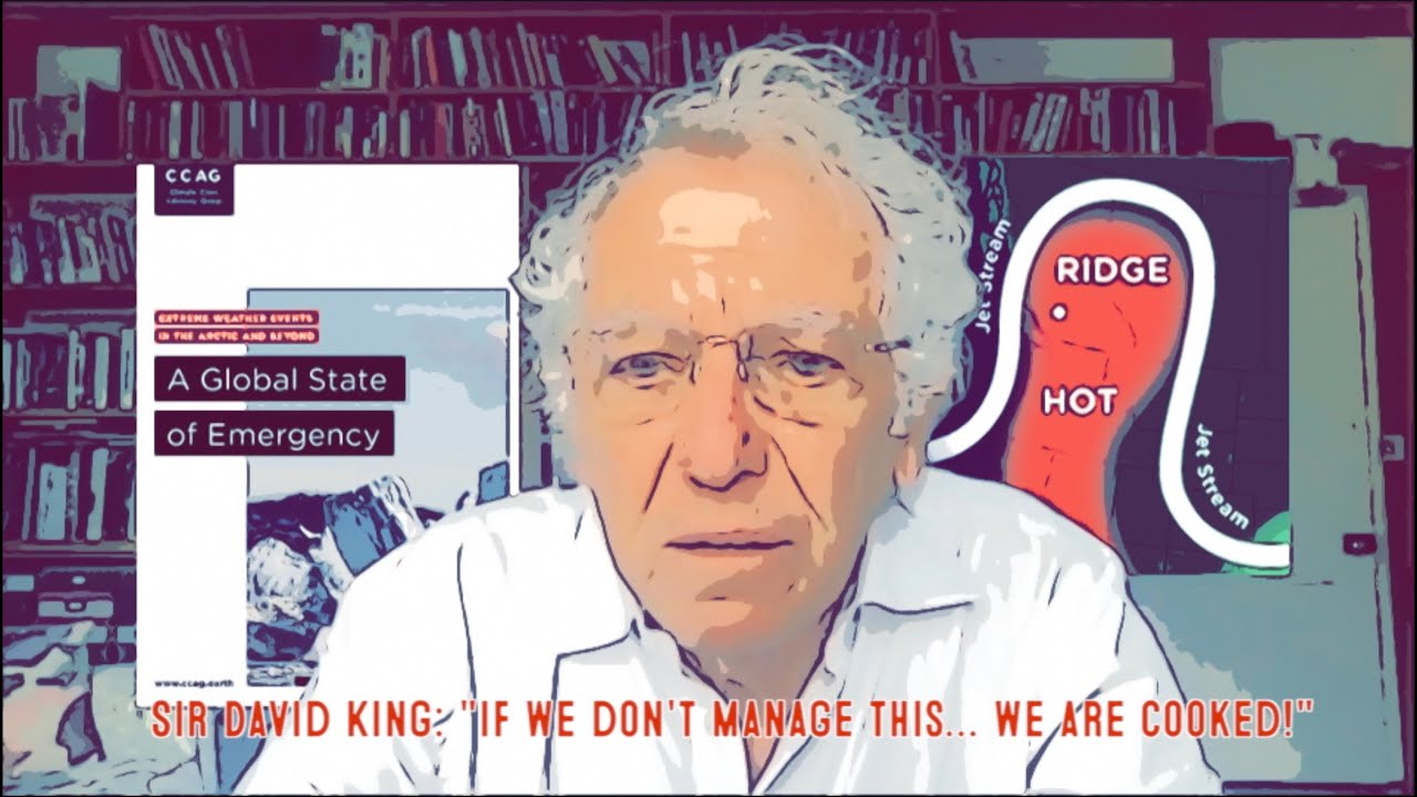 Sir David King | Arctic Report | Climate Crisis Advisory Group