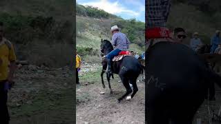 Joan Sebastian