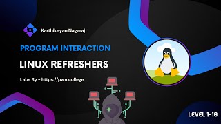 Famous Pwn College - Program Interaction (Level 1-10) by Karthikeyan Nagaraj Wealth