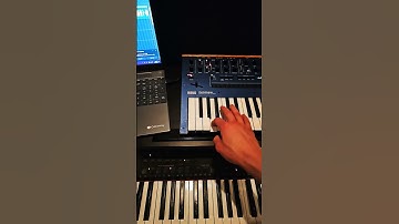 Korg Monologue fat beats