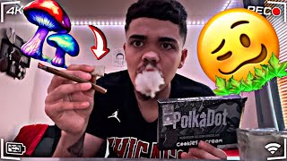 PolkADot “🍄 Belgian Chocolate” Cookies N Cream