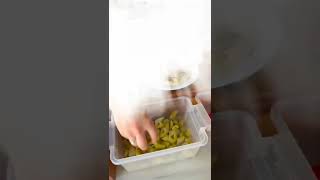 Humus U Nerde Yediniz ?