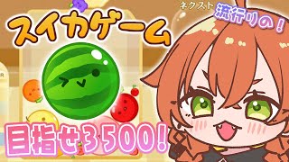 【 スイカゲーム 】神ゲーすぎて時間が溶ける🍉今だけ天才になりたい。【にじさんじ/獅子堂あかり】