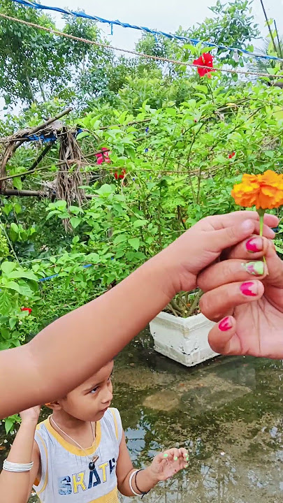 dida r nati❤️good morning