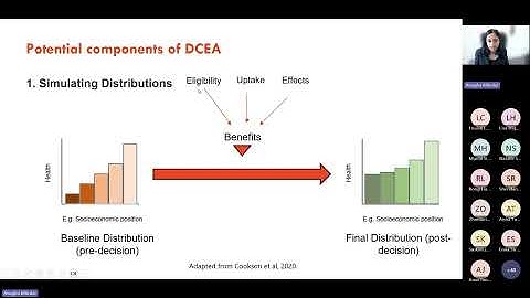 HEAT SIG Webinar Distributional cost-effectiveness analysis (DCEA) methods