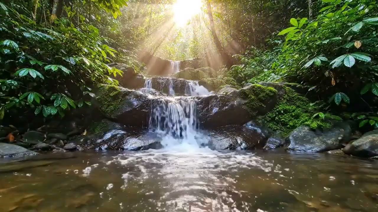 Feel Peaceful in 5 Minutes  Piano & Water Sound