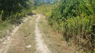 92519 Tracy, Carly Brace