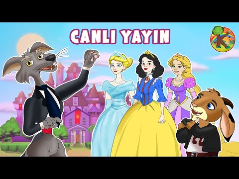 Türkçe - Çizgi Film & Çocuk Masalları - CANLI YAYIN | KONDOSAN