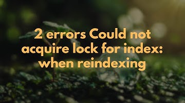 2 errors Could not acquire lock for index: when reindexing