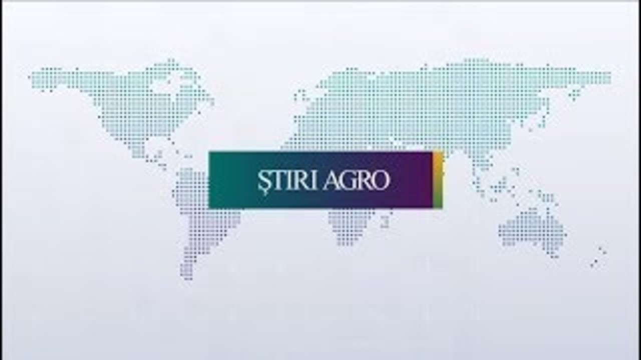 BULETIN 14:00, 6 Martie