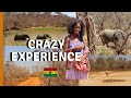 I VISITED THE LARGEST ANIMAL WILDLIFE PARK IN GHANA | MOLE NATIONAL PARK |  AFRICA WILDLIFE VIDEO