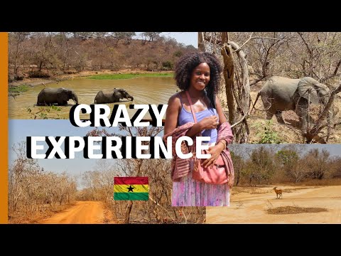 I VISITED THE LARGEST ANIMAL WILDLIFE PARK IN GHANA | MOLE NATIONAL PARK |  AFRICA WILDLIFE VIDEO