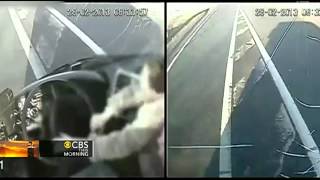 Watch: Bus driver passes out at the wheel