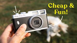Camp Snap Pro First Impressions: every photographer should have one!