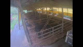 Live Camera Axis P1468-LE