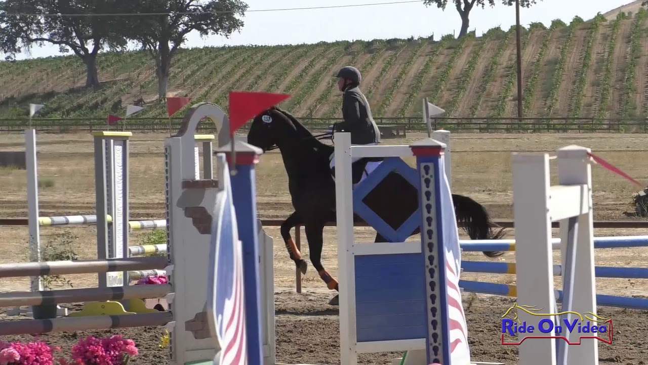 horseshoe bend 157S Allison Murphy on Magna Warrior Open Training Show Jumping Twin Rivers Ranch Sept. 2019